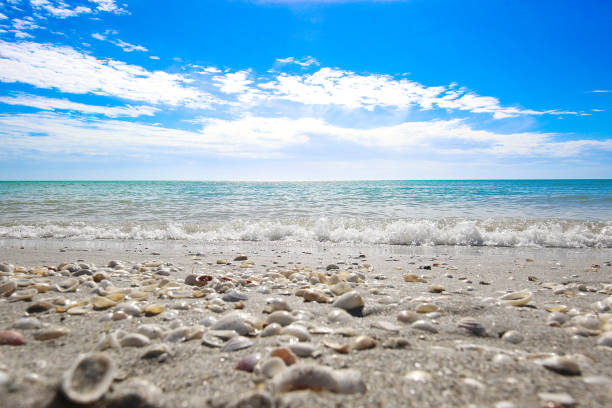 Shell Collector's Bay - Hidden gem beach known for abundant seashells and nature trails